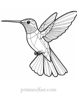 hummingbird Coloring Page SVG