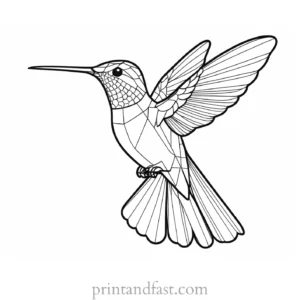 hummingbird Coloring Page SVG