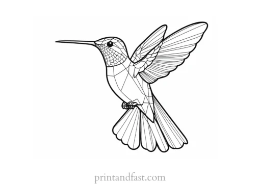 hummingbird Coloring Page SVG