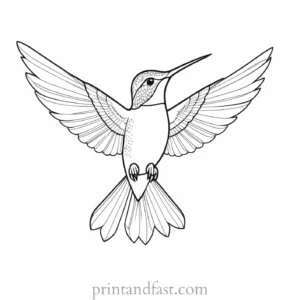 hummingbird Coloring Page Template