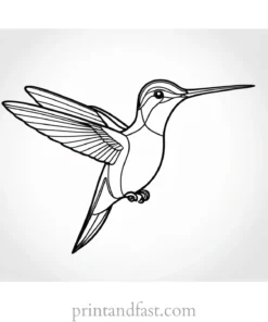 hummingbird Coloring Page Tutorial