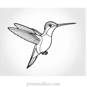 hummingbird Coloring Page Tutorial