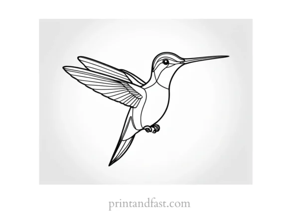 hummingbird Coloring Page Tutorial