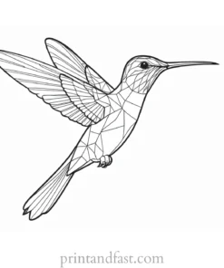 hummingbird Coloring Page for Adults