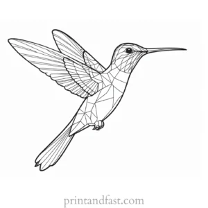 hummingbird Coloring Page for Adults