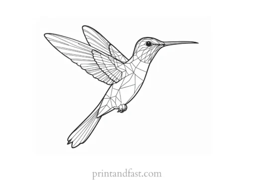 hummingbird Coloring Page for Adults