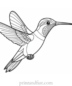 hummingbird Coloring Page for Kids