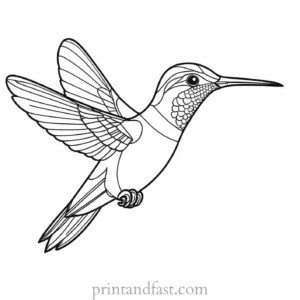 hummingbird Coloring Page for Kids