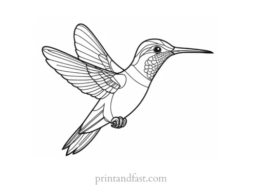 hummingbird Coloring Page for Kids