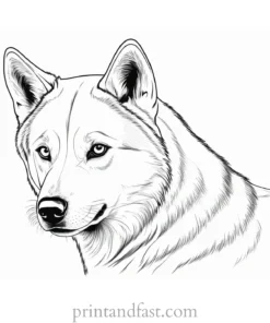 husky coloring page advanced