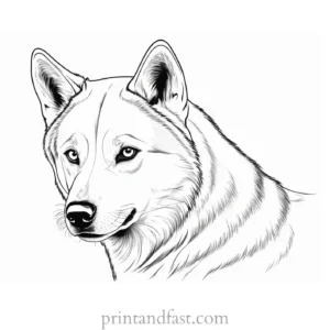 husky coloring page advanced