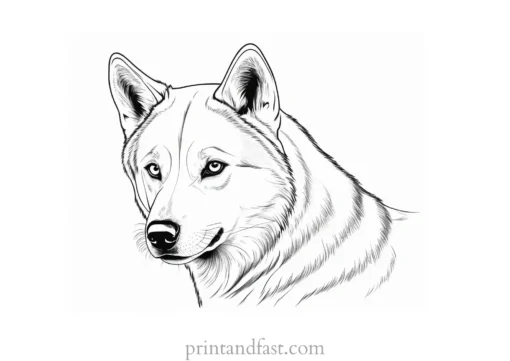 husky coloring page advanced