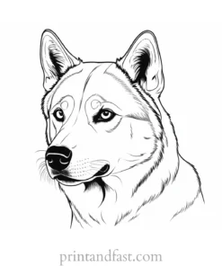 husky coloring page animal