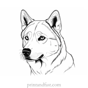 husky coloring page animal