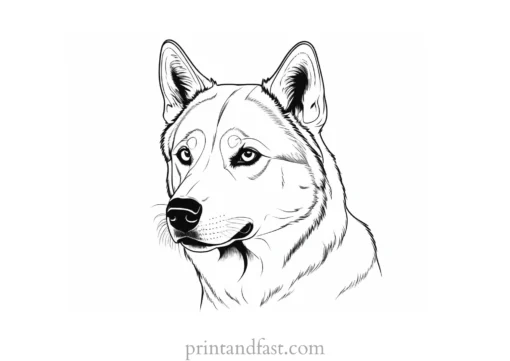 husky coloring page animal