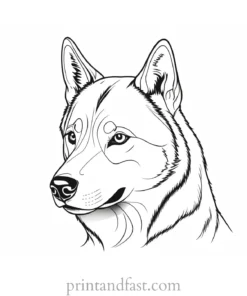 husky coloring page cartoon