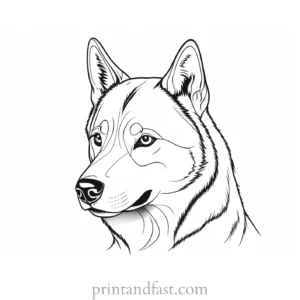 husky coloring page cartoon