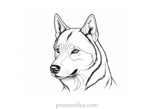 husky coloring page cartoon