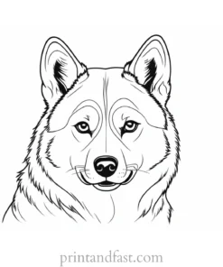 husky coloring page cute