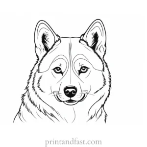 husky coloring page cute