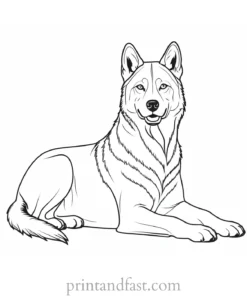 husky coloring page detailed