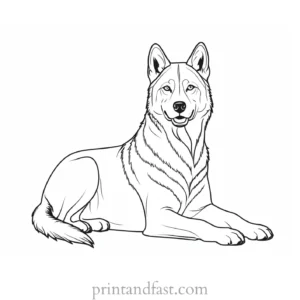 husky coloring page detailed