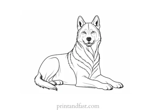 husky coloring page detailed