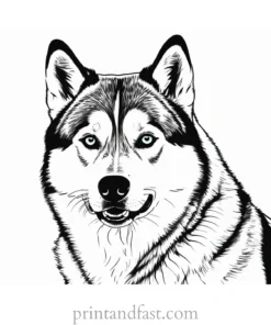 husky coloring page digital