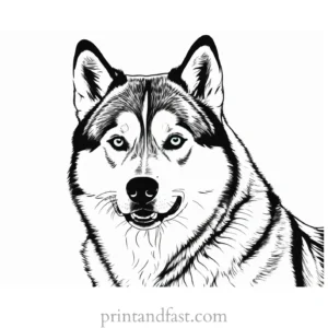 husky coloring page digital