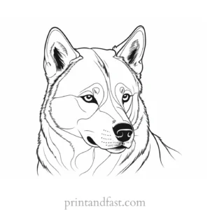 husky coloring page dog