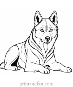 husky coloring page for kids