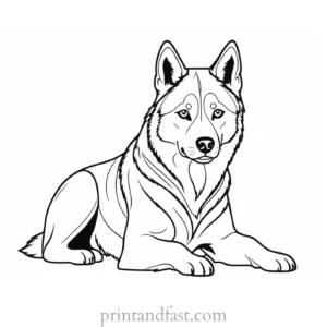 husky coloring page for kids