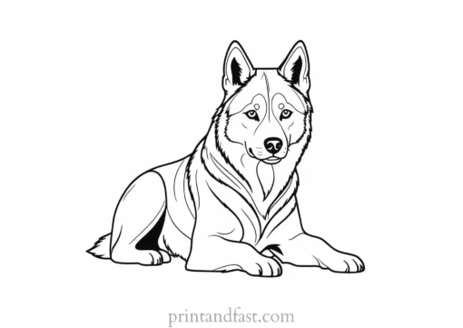 husky coloring page for kids