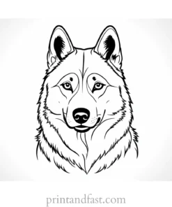 husky coloring page free