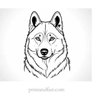 husky coloring page free