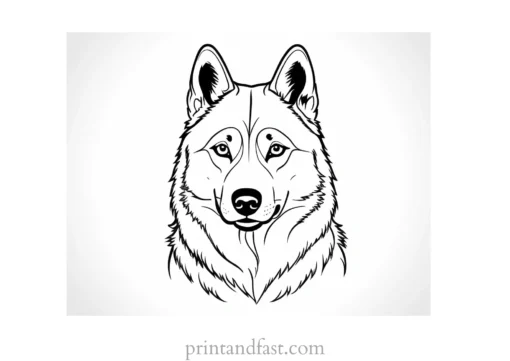 husky coloring page free