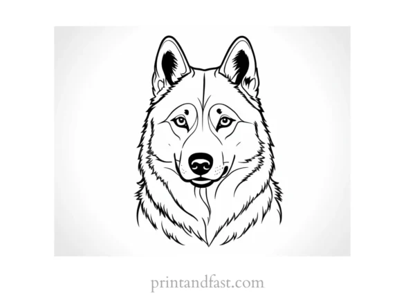 husky coloring page free