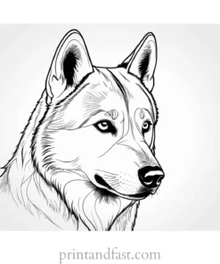 husky coloring page hard