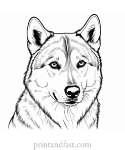 husky coloring page online