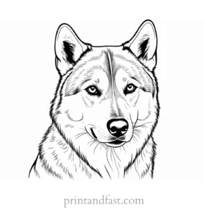 husky coloring page online