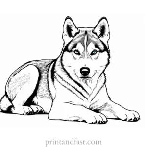 husky coloring page puppy