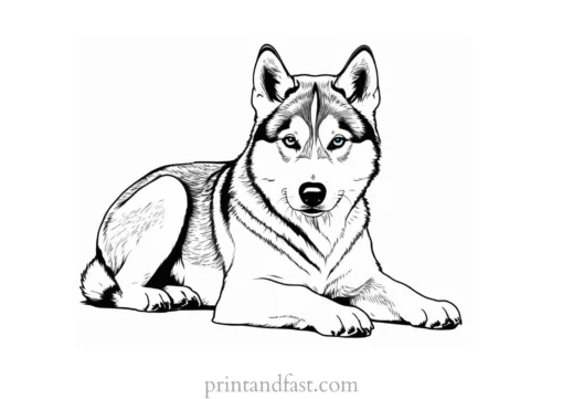 husky coloring page puppy