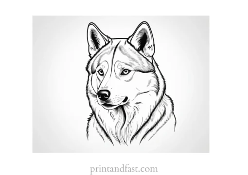 husky coloring page realistic