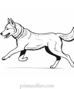 husky coloring page running