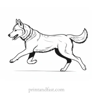 husky coloring page running