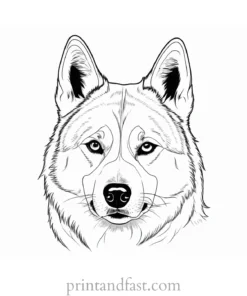 husky coloring page simple