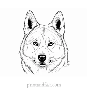 husky coloring page simple