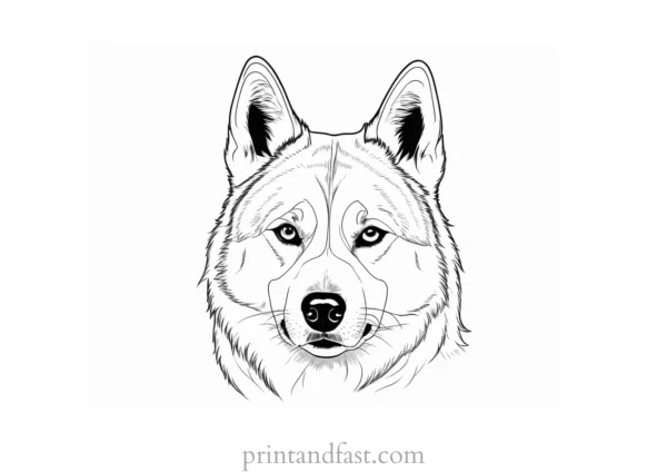 husky coloring page simple