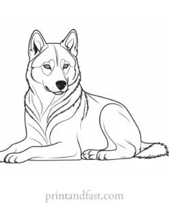 husky coloring page sitting