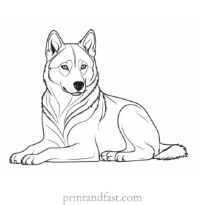 husky coloring page sitting